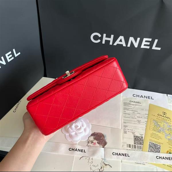 2026127205646679 380